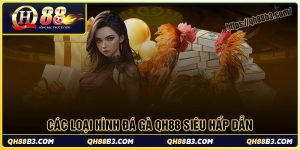 Khám phá các loại hình đá gà qh88 cực hấp dẫn