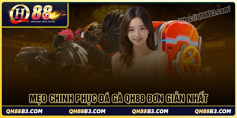 Mẹo chơi giúp cược thủ chinh phục đá gà qh88