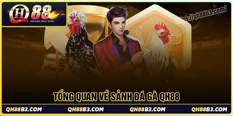 Tổng quan về sảnh đá gà qh88