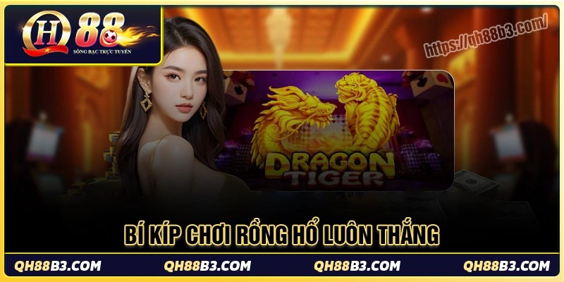 Bí quyết luôn thắng khi tham gia cá cược rồng hổ Qh88