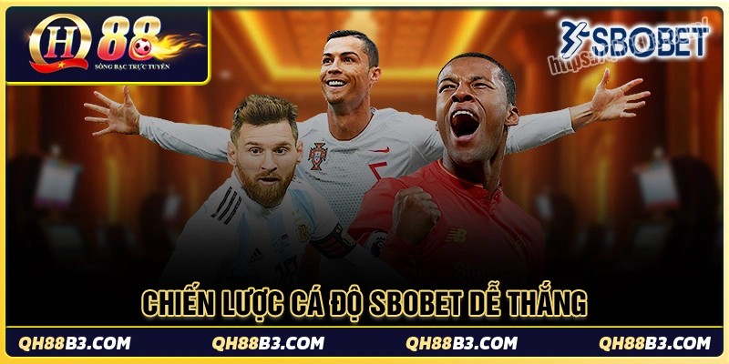 Chiến lược cá độ sbobet siêu hay mỗi ngày